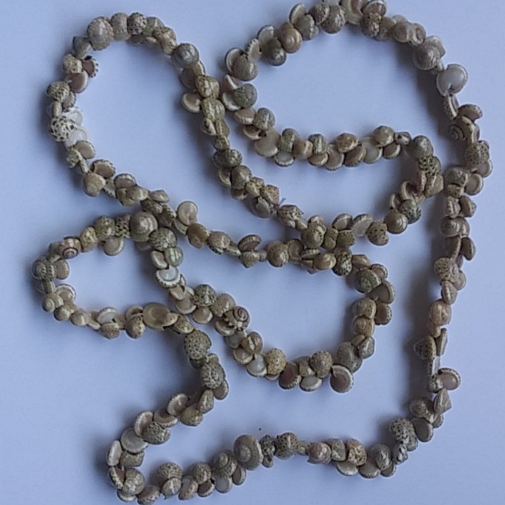 Vintage snail shell neckalace